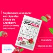 Imagem de Urocran Cranberry 500 mg – 30 cápsulas gelatinosas 