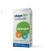 magnaliv cpr 130mg25mg1mg c30